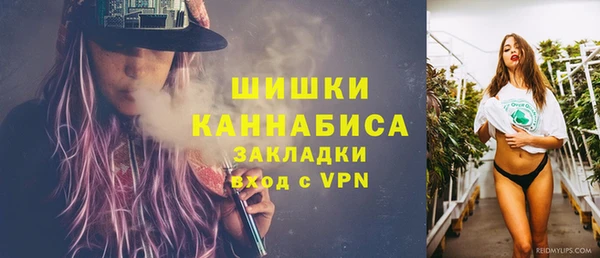 ГАЛЛЮЦИНОГЕННЫЕ ГРИБЫ Новокубанск