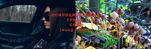 винт Абдулино