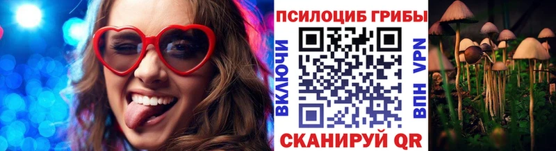 Галлюциногенные грибы мицелий как найти наркотики Нариманов